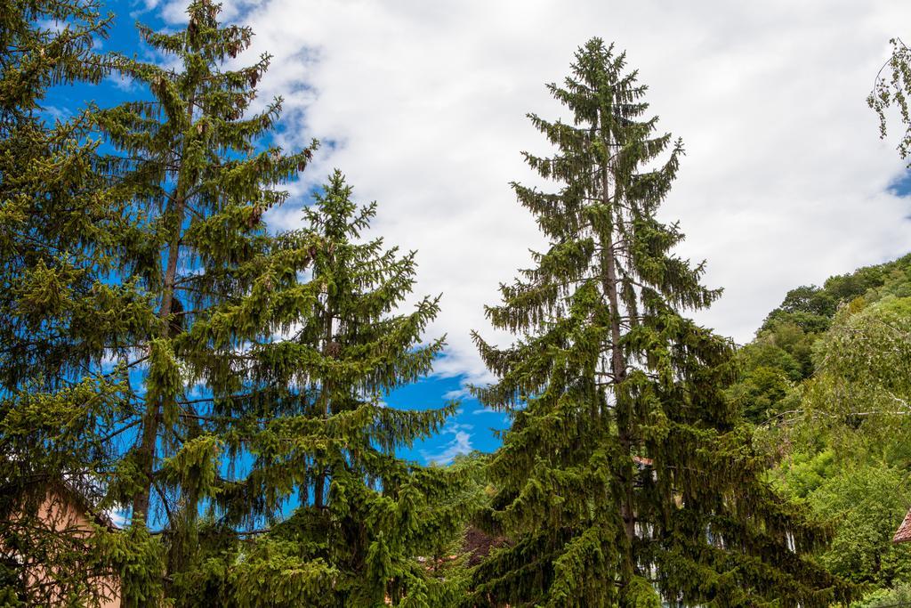 Gec Hotell Zaprešić Exteriör bild
